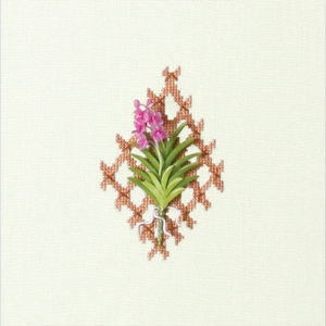 Ascocentrum (Pink) L