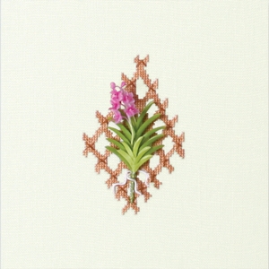 Ascocentrum (Pink) L