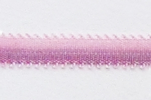 C006
