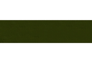 A037